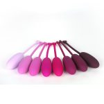 Beginners & Advanced 8 IN 1 Ben Wa Sets - Image 2