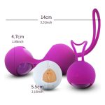 FOX M3 Rechargeable Wireless Benwa Balls - Image 5