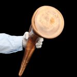 Anal Colon Snake - Image 7