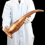 Anal Colon Snake - Image 10