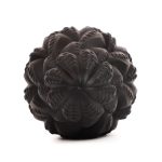 Paul Octopus Tentacles Anal Dilation