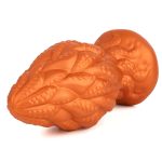 Paul Octopus Tentacles Anal Dilation - Image 2