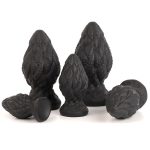 Paul Octopus Tentacles Anal Dilation - Image 4