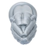 Fisting Huge Butt Dilator - Image 13