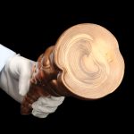 Mixed Color Pointed Oversized Butt Plug