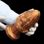 Walnut Oversized Butt Plug - Image 3