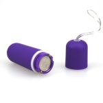 Screaming O Remote Control Master Ring And Bullet Set - Image 3