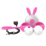 Wireless Kegal Balls With Clit Brush - Image 7