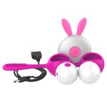 Wireless Kegal Balls With Clit Brush - Image 8