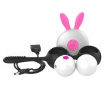 Wireless Kegal Balls With Clit Brush - Image 9