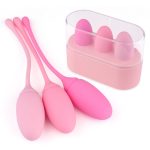 Deluxe Kegel Exercise System
