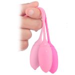Deluxe Kegel Exercise System - Image 2