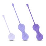 Alice Kegel Balls System - Image 6