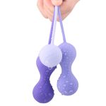 Alice Kegel Balls System - Image 3