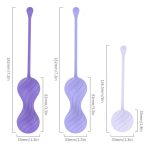 Alice Kegel Balls System - Image 4