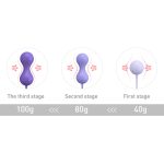 Alice Kegel Balls System - Image 5