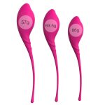 Lamboll Kegel Vaginal Exerciser Kit - Image 2