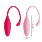 Flower APP Smart Sex Vibrator