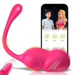 Wearable Vibrating Panty Dildo Vibrator