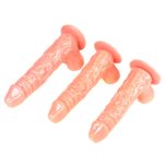 Realistic Suction  Dildo - Image 5