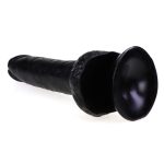 Dylan's Cock - 13 Inch - Image 8