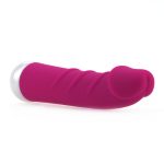 Fashion Succubi Vibrating Dong - Image 2