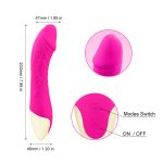 Realistic 10 Modes Vibration Dildo - Image 5