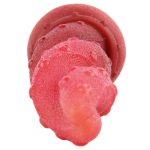 Colorful Silicone  Anal Plug - Squid - Image 7