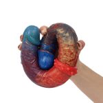 Hellfire Double Penetrator Dildo - 02 - Image 5