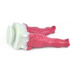 Alien Wolf Phallus - 13 - Image 2