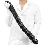 Super Long Double Dildo Plug - Image 3