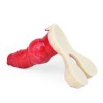 Hellfire Devils Silicone 7.7" Horse Dick - Image 4