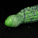 Fantasy Dragon Silicone Realistic Dildo - Image 3