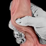 Double Density Realistic 19 cm Dong - Image 9