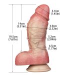 Dual Density Realistic 19.5 cm Dong - Image 3