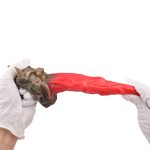 Colored Monster Style Tongue Dildo - Image 3