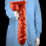 Realistic 15 inch PVC Dildo - Image 5