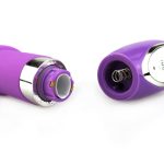 Wild Flirt Dildo Vibe - Image 4