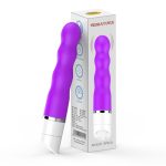 Ronty Class Vibrator - Image 6