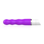 Ronty Class Vibrator - Image 2
