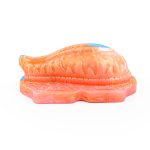 Strapon Vibrating Tentacle Grinder - A - Image 9