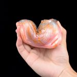 Strapon Vibrating Tentacle Grinder - C - Image 8