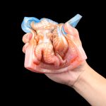 Strapon Vibrating Tentacle Grinder - D - Image 9