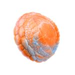 Fantasy Grinder Silicone Hump Toy Clitoral Stimulator - Image 7