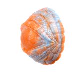 Fantasy Grinder Silicone Hump Toy Clitoral Stimulator - Image 10