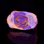 Magic PupilFantasy Sex Grinder - Image 9