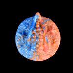 Fantasy Grinder Clitoral Stimulator - C - Image 5