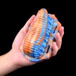 Fantasy Grinder Clitoral Stimulator - J - Image 11