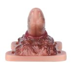 Animal Wolf Hair Grinding Sex Toy - Image 7