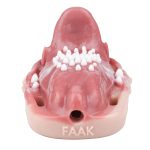 Fantasy Tongue Grinding Vibrator - Image 10